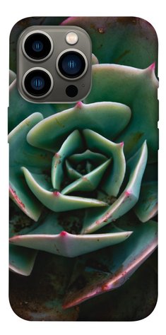 Чохол IBANAN Ехеверія для iPhone 13 Pro (6.1"") 3701011417 фото 1 Купити в інтернет-магазині IBANAN