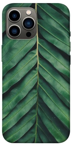 Чохол IBANAN Palm sheet для iPhone 12 Pro Max (6.7"") 3701011031 фото 1 Купити в інтернет-магазині IBANAN