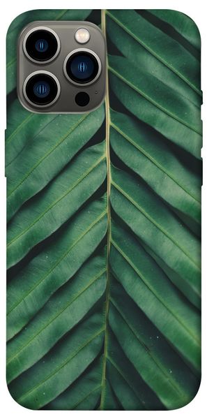 Чехол IBANAN Palm sheet для iPhone 12 Pro Max (6.7"") 3701011031 фото 1 Купить в интернет-магазине IBANAN